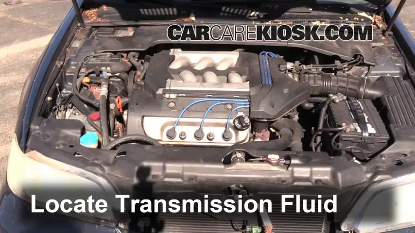 1999 Acura CL Premium 3.0L V6 Transmission Fluid